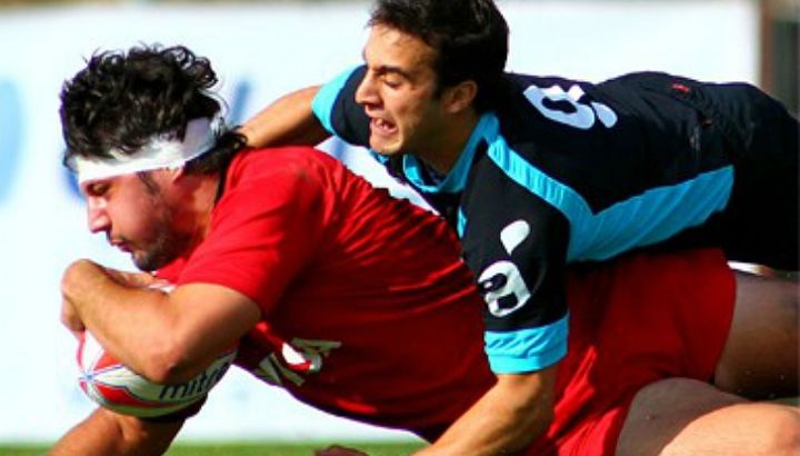 los-pumas
