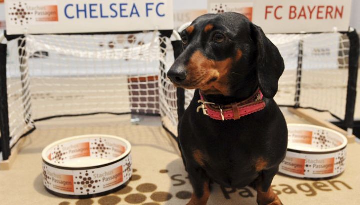 chelsea-vs-bayern
