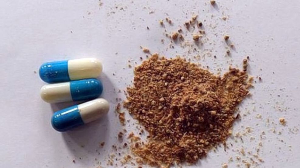 Tres de las miles de pastillas con supuesta carne humana en polvo.