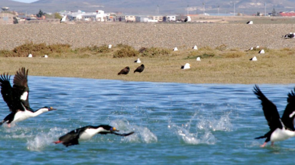 Todo lo mejor de la localidad de la provincia de Santa Cruz.