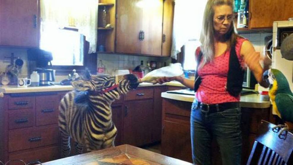 Vickey Teiter con sus mascotas.