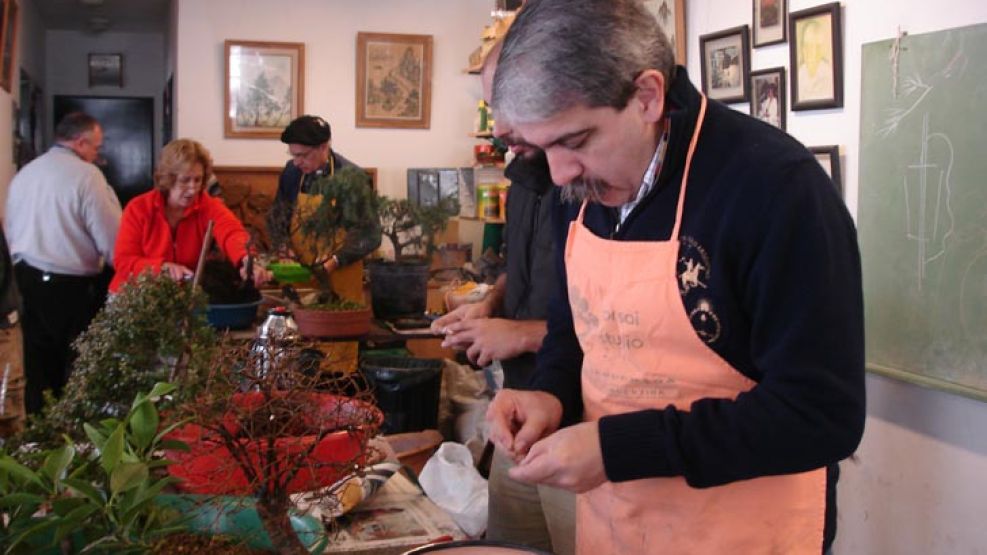 Aníbal F. trabajando la tierra, en su apasionado oficio de cultivar bonsái.