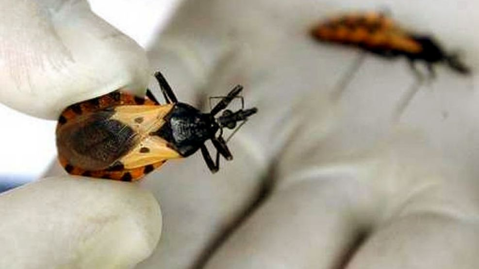 Es considerada un signo de la pobreza.