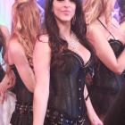 Fort Night Show (10)