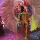 Fort Night Show (37)