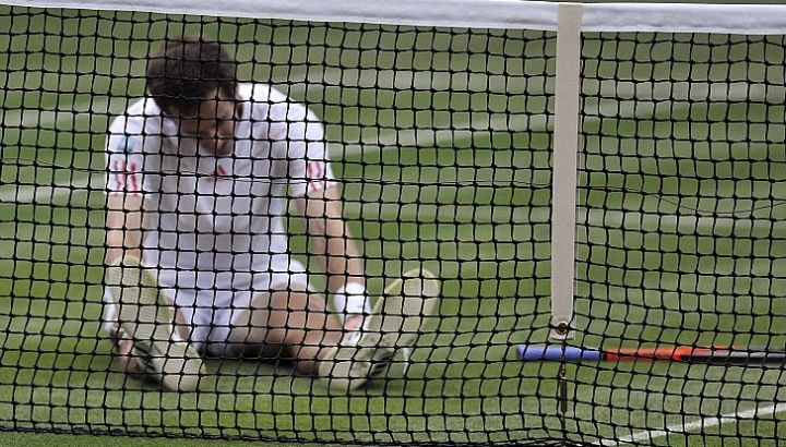 murray
