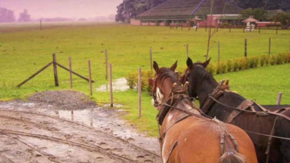 Situada estratégicamente en el centro mismo del país, la provincia oficia como puerta de entrada a la Patagonia y constituye un destino propicio para aprender las prácticas rurales, disfrutar el verda