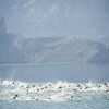 triatlon