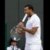 tsonga