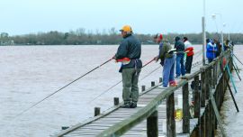 cornalitos costa JF-01