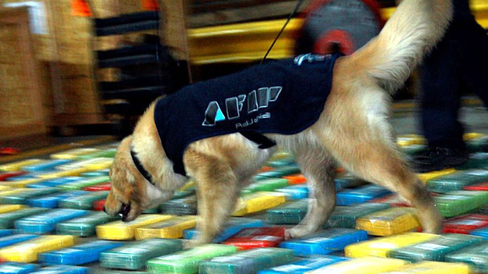 La mercadería estaba escondida en un cargamento que iba a África.