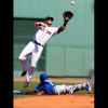 pedroia