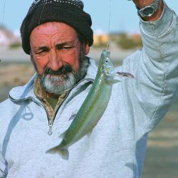 Pesca en Playas Doradas-062