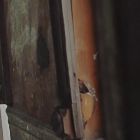 Julia Volkova (15)