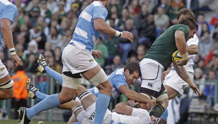 los-pumas