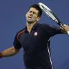 0906-delpo7djokovic