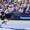 ferrer
