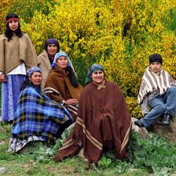 Centro Mapuche1