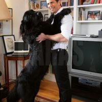 “Mi perro es un divo total”