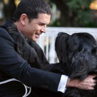 “Mi perro es un divo total”