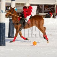 La copa de Snow Polo, en Ushuaia
