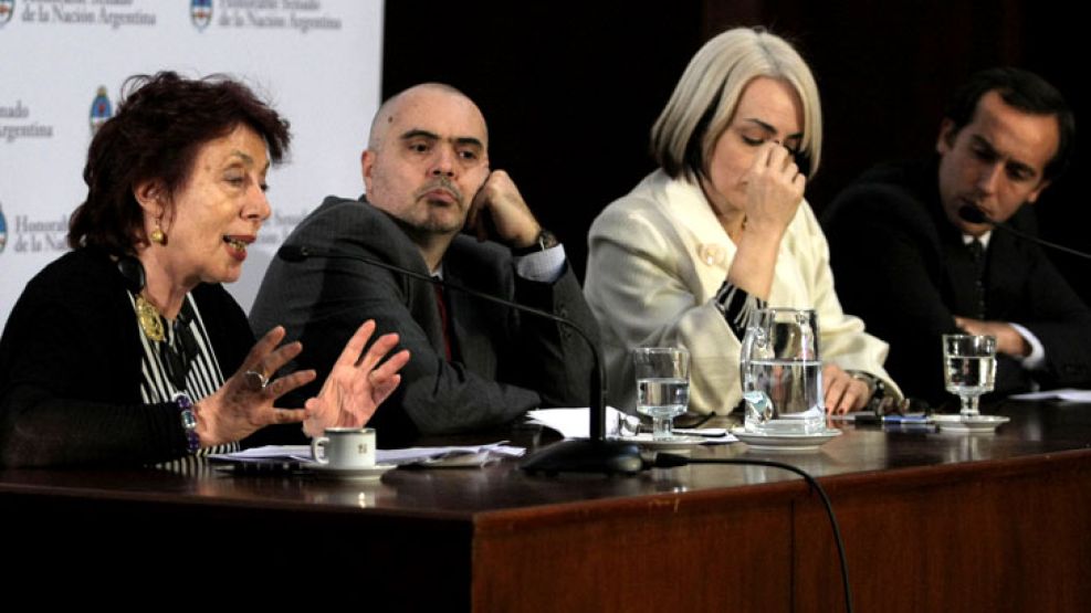 La diputada Norma Morandini en la audiencia pública de ayer