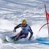 kostelic
