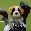 mcilroy