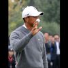 woods