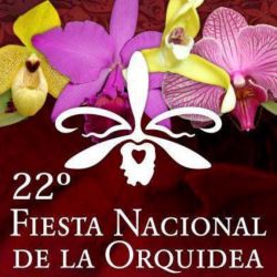 Fiesta Orquidea3