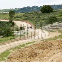 campo