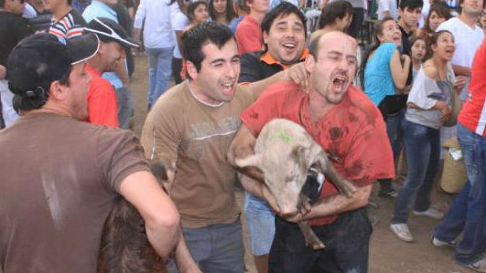 Los ganadores festejan con sus mascotas.