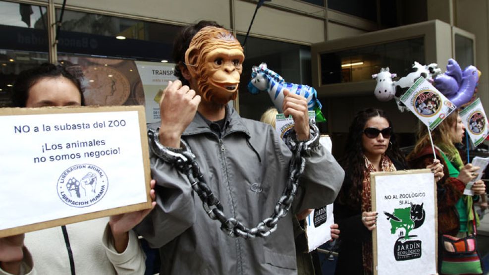 La protesta de militantes de organizaciones protectoras de animales en la puerta del Banco Ciudad.