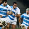 los-pumas