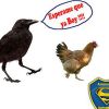 boca-se-rie-del-ciclon