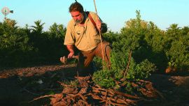 VIZCACHAS EN CHASCOMUS-005