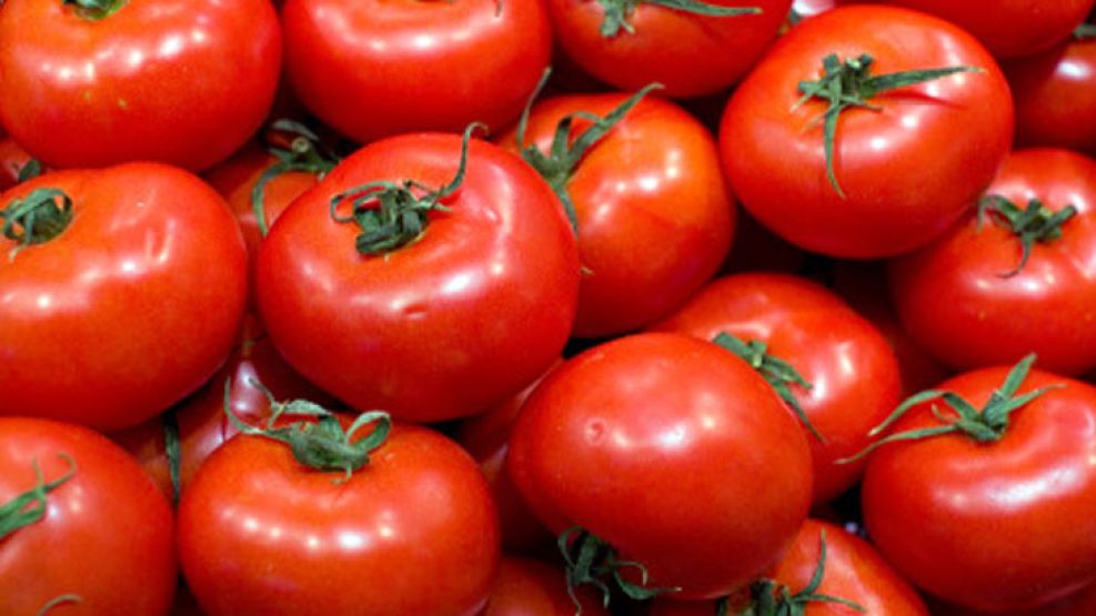 Tomates: advierten sobre la suba de precios.