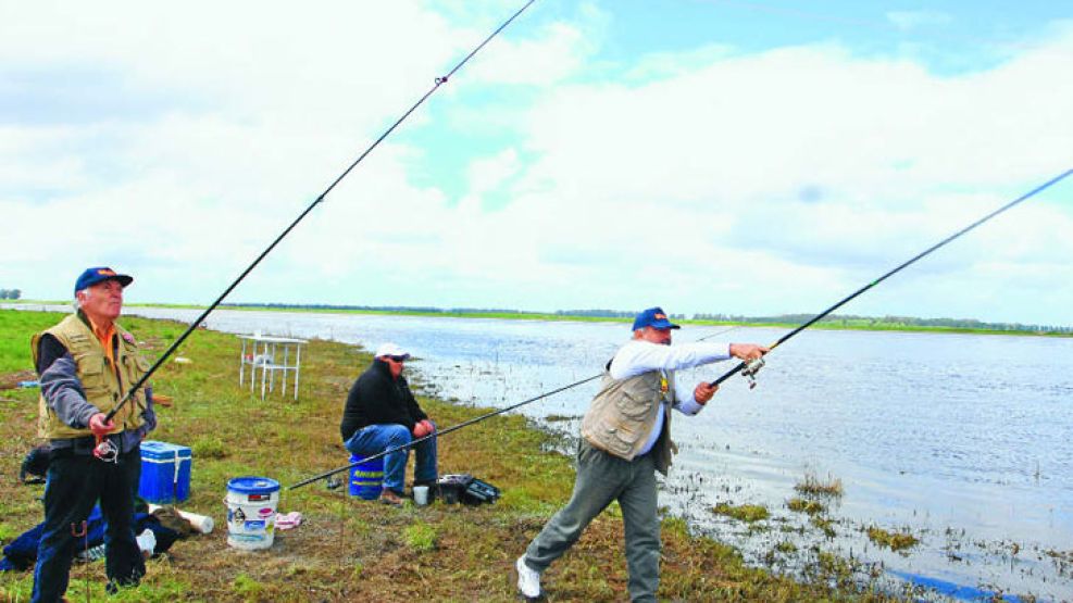 Un pez de pique complejo aparece en los desbordes del río, hoy fuera de cauce. Fotos.