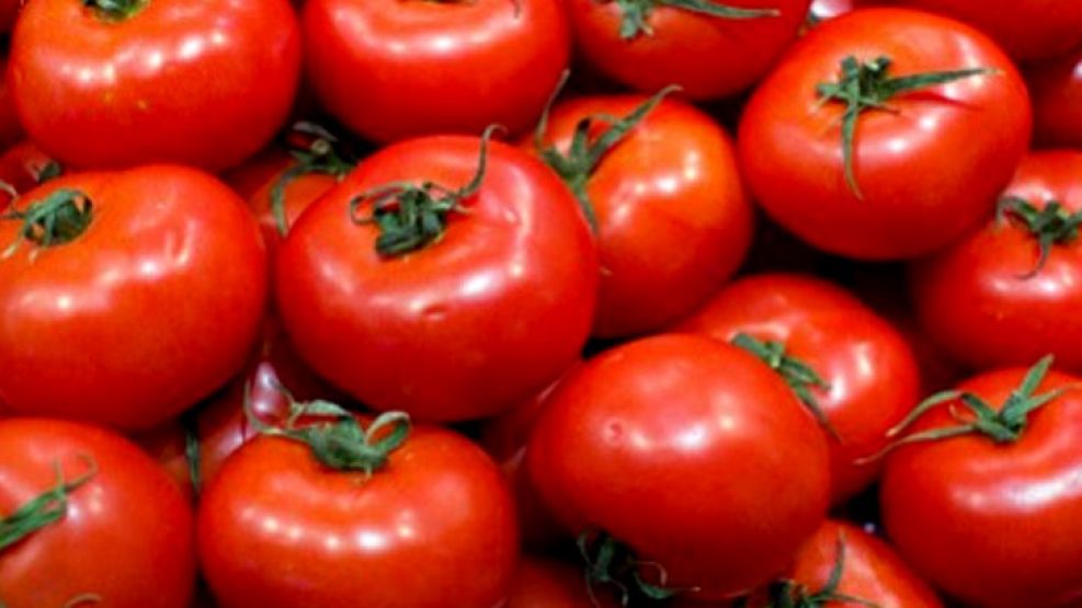 TOMATES. Por las lluvias y la escasez ya se comercializa hasta $ 25 el kilo.