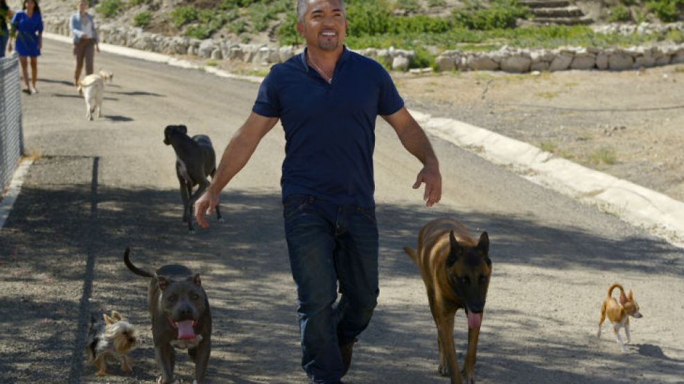 Con una carrera exitosísima en TV con los animales, intentó quitarse la vida en 2010. Su renacer.