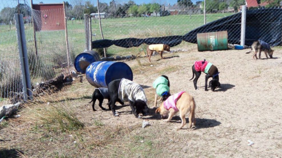 Es el segundo ataque en el año.