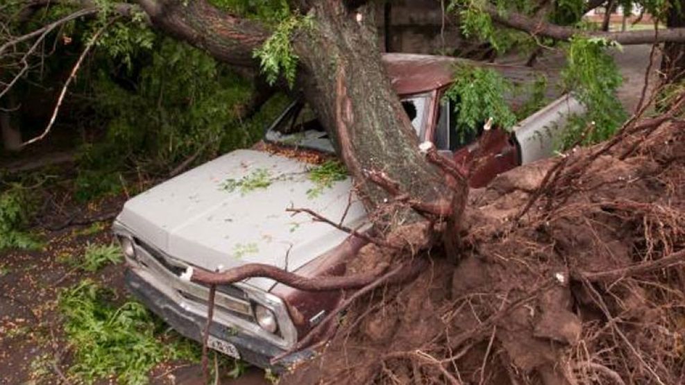 Una camioneta aplastada por un árbol en Santa Rosa de la Calamuchita. 