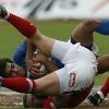 los-pumas