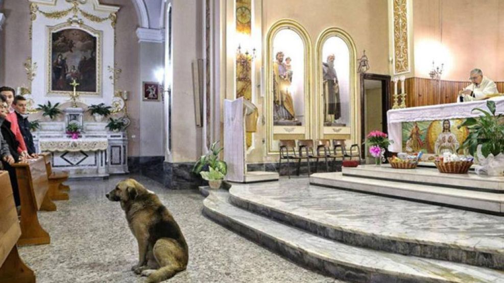 Ciccio espera a su dueña frente al altar de la iglesia.