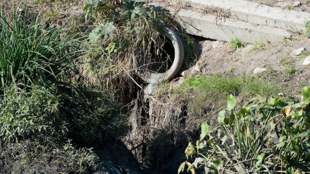 "El Riachuelo es un río muerto; un río sin oxígeno o con niveles muy bajos", declaran de la organización ambientalista.