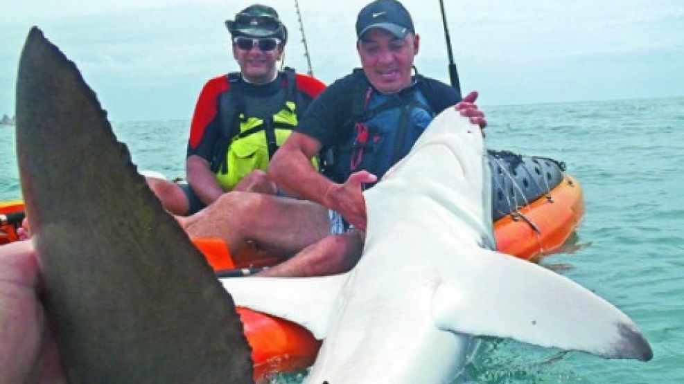 La captura de un tiburón marcó un récord en pesca en kayak en Mar del Plata.