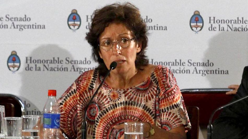 Ginsberg dijo que "en un sentido (el debate) estuvo en manos de Timerman y del Gobierno porque la intención de ellos era apurar rapidito la ley".