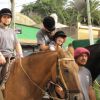 terapia-con-caballos