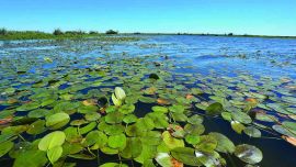 Laguna desde el kayak