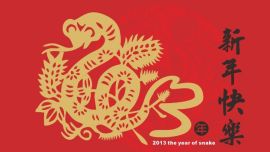year-if-the-snake
